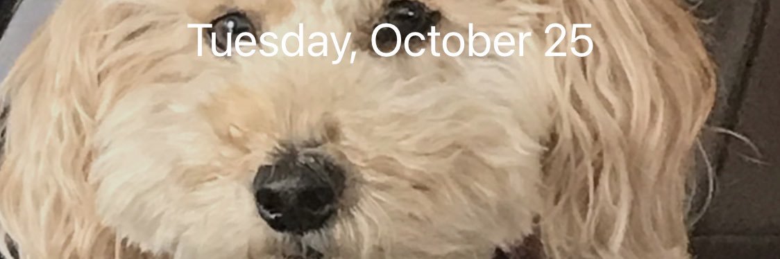 jonnyd000's profile banner image