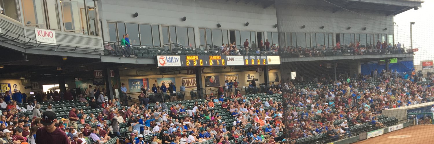 Texan Baseball's banner