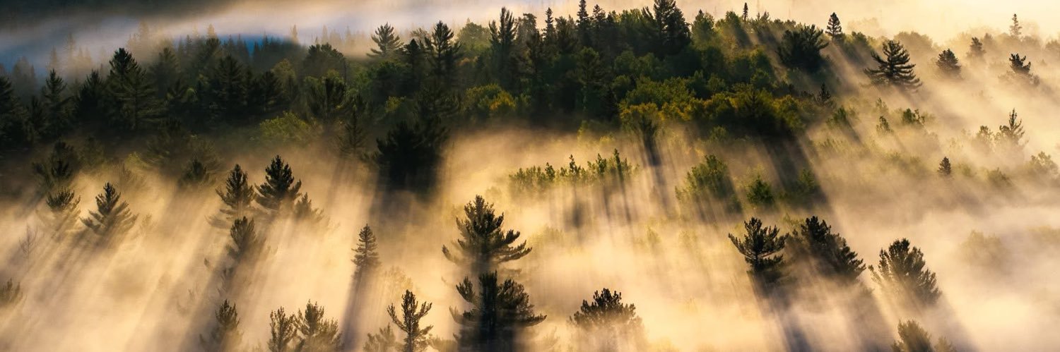 Veronica Alexander-Shaw banner