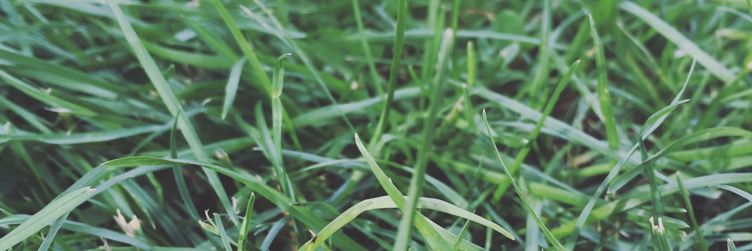 GabstertheGrape's profile banner image