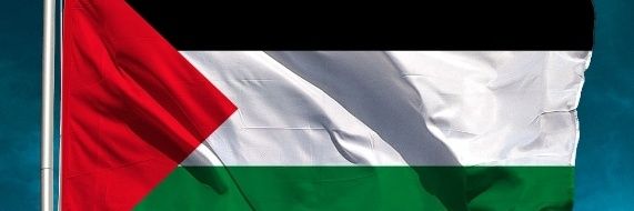 EduOlivaAlves - 🚩🇵🇸 banner