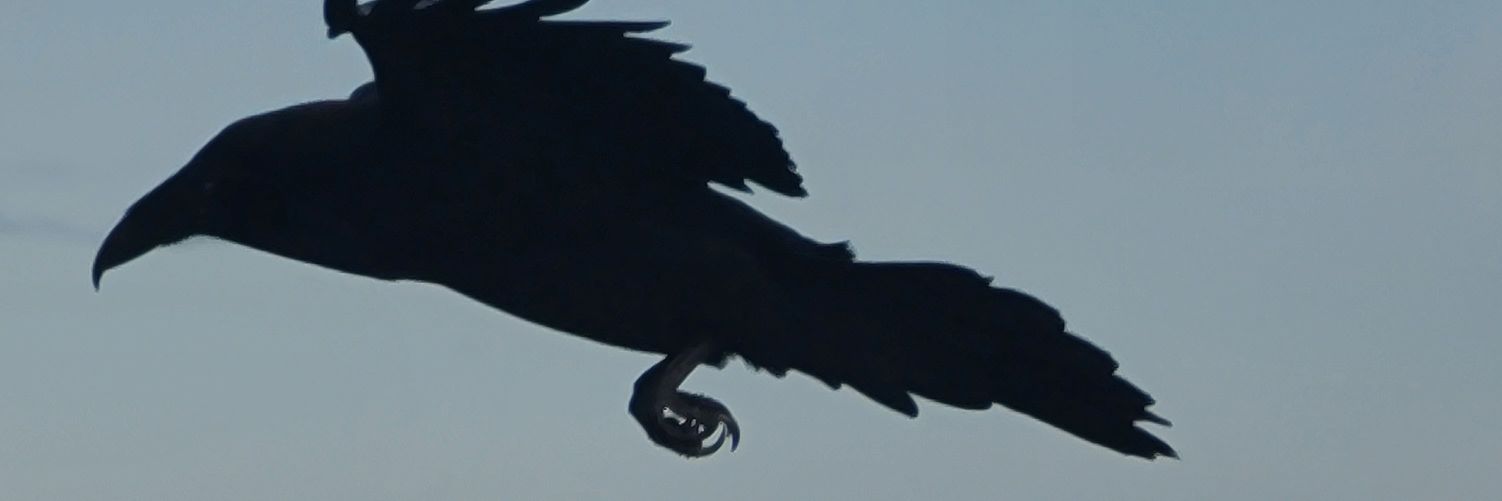 Hermes (TM) banner