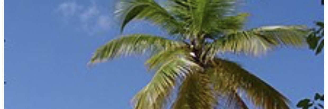 Sleepwithchris6's profile banner image
