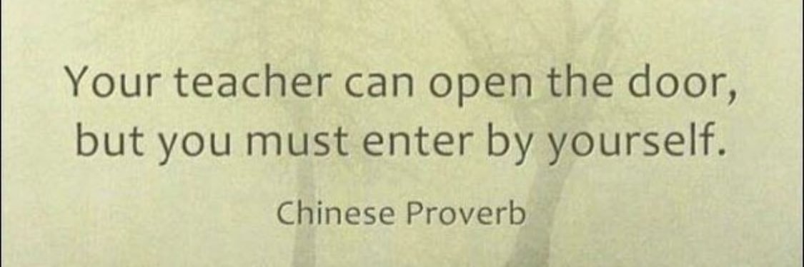 Brenton Del Chiaro banner