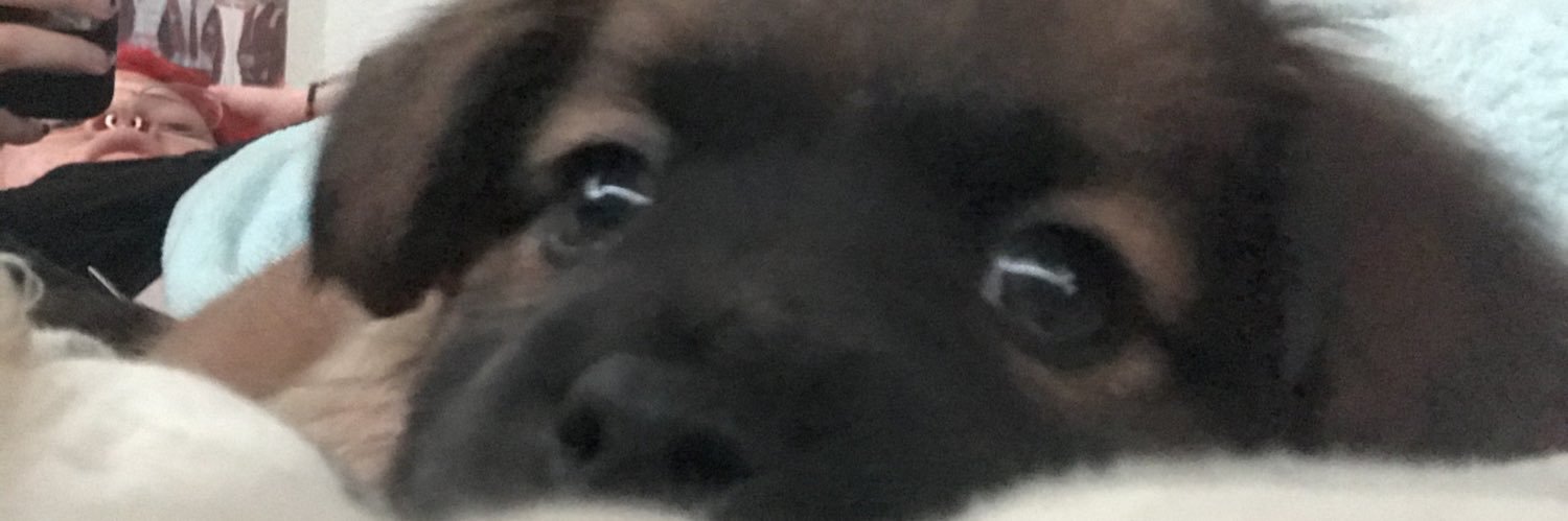 citliss's profile banner image