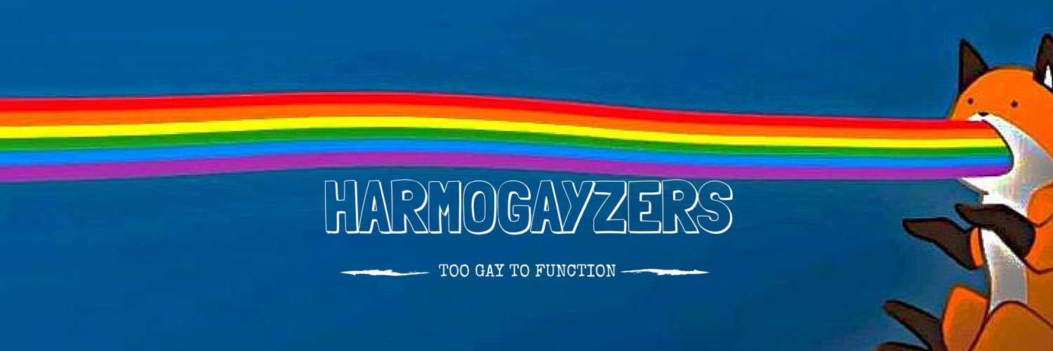 harmoGAYzerz's profile banner image