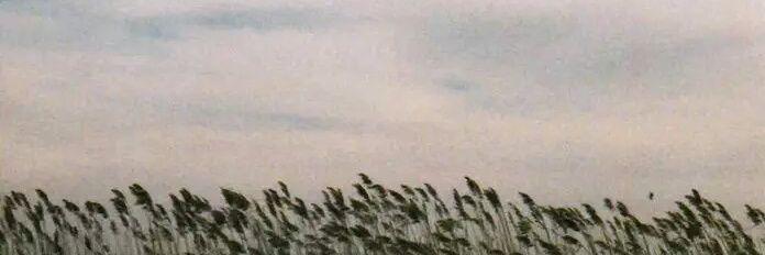 minorholm's profile banner image