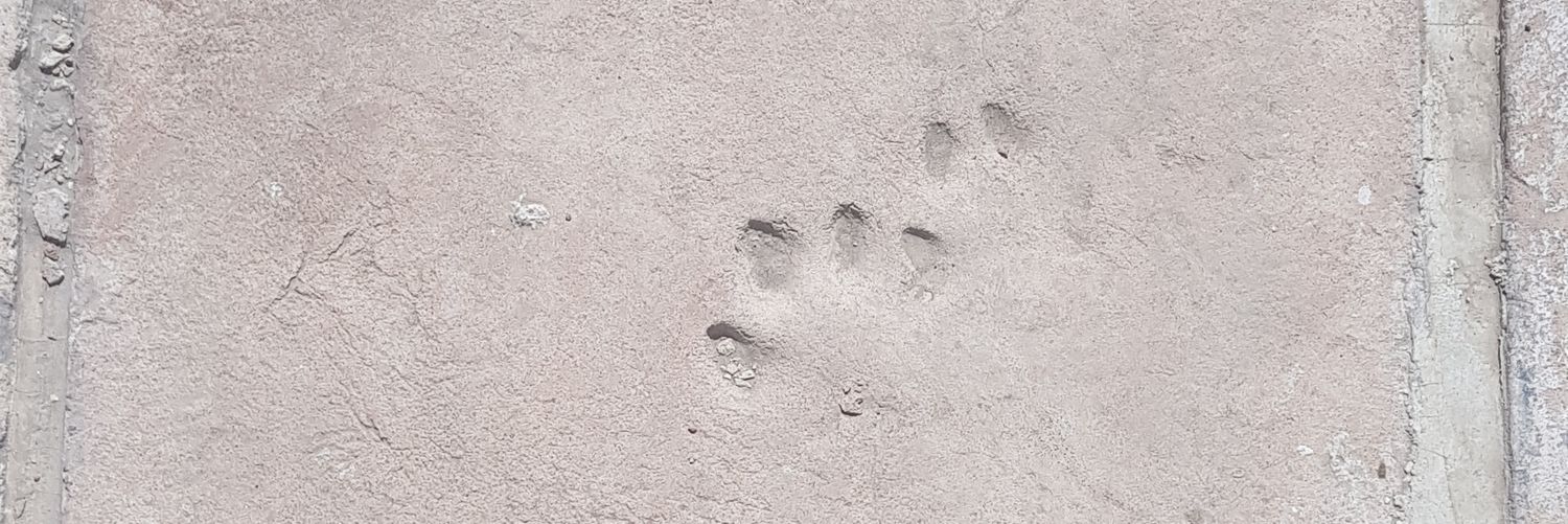 LDCLDC12's profile banner image