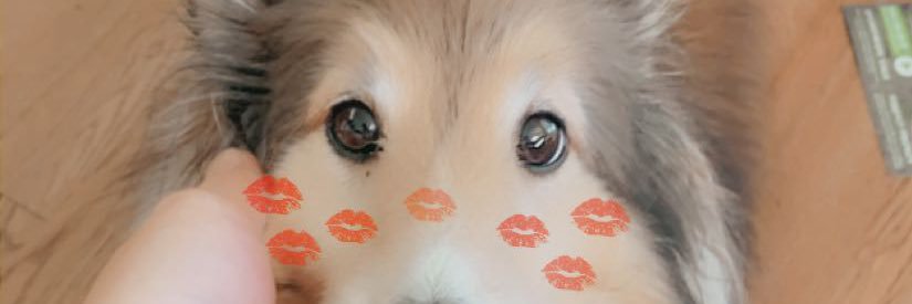 call_me_kently's profile banner image