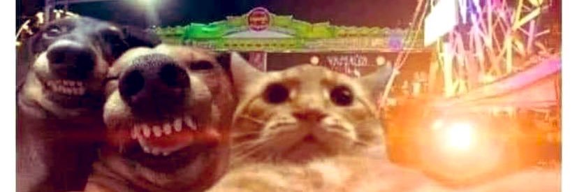 marylorrain's profile banner image