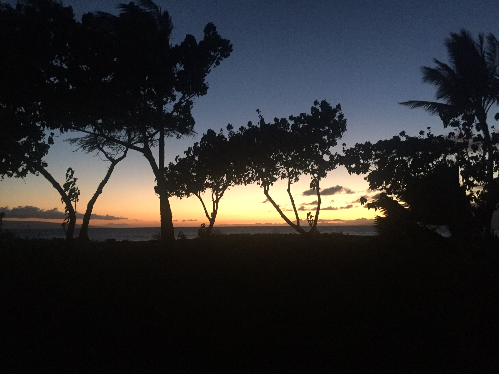 ColleenFendon's profile banner image