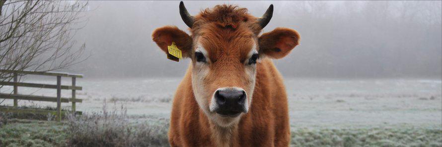 Maker & Monger banner