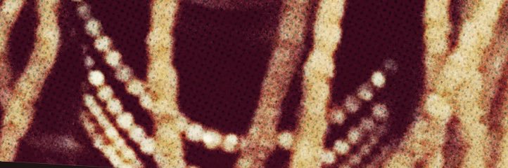 ConstantRax's profile banner image