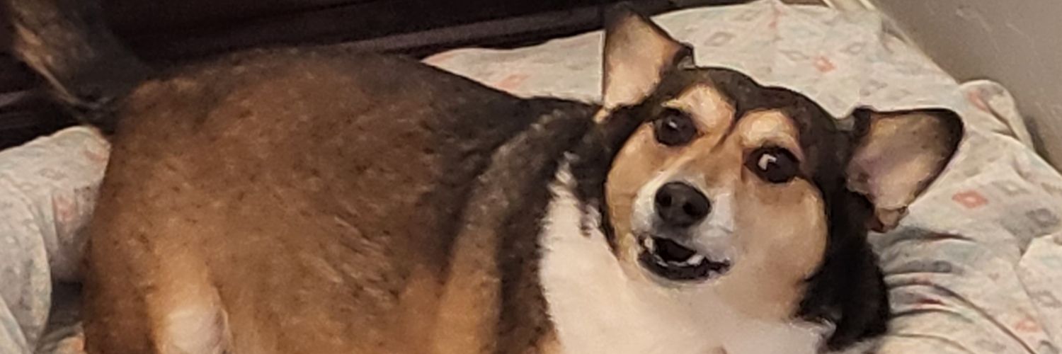 JRobes_pierre's profile banner image