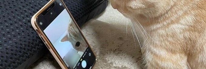 caca marica gapake heyhey; banner