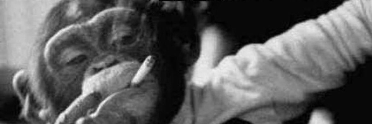 Good Ol oG banner