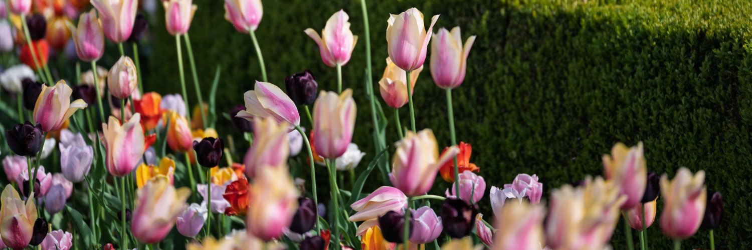 City of Maple Ridge banner