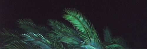 _rpgtfh's profile banner image