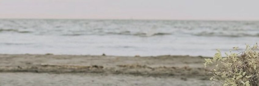 Maram Na’il 🦋 banner