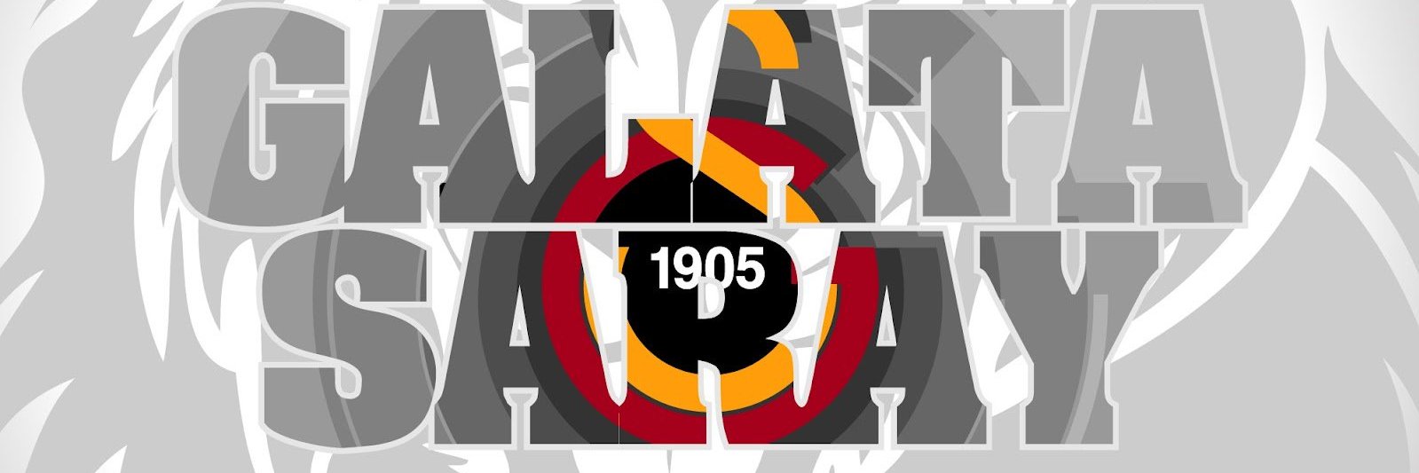 FSarkbulbulu's profile banner image