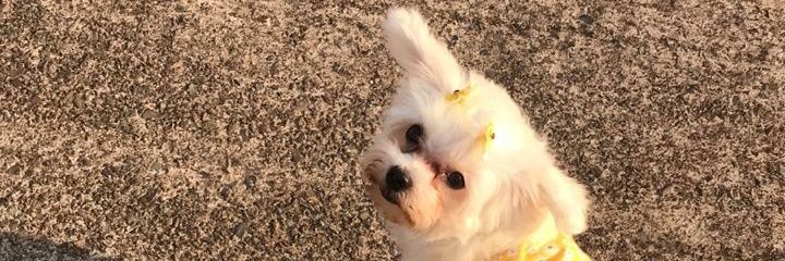 labelledejah's profile banner image