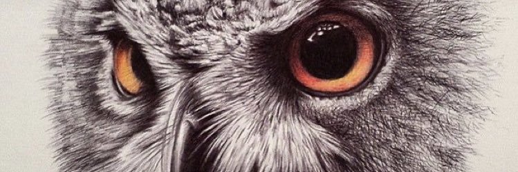 diegoMonterros1's profile banner image