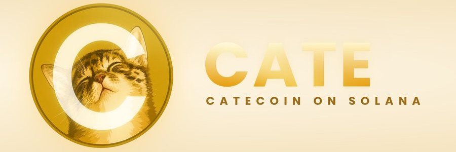 CatecoinOnSol_'s profile banner image