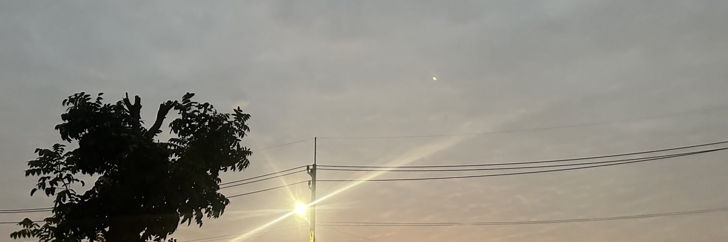 Onanong Luanmuang banner