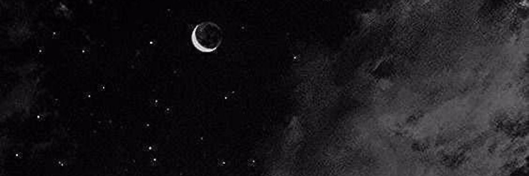 Elianapportillo's profile banner image