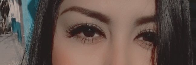 duLCE_LH's profile banner image
