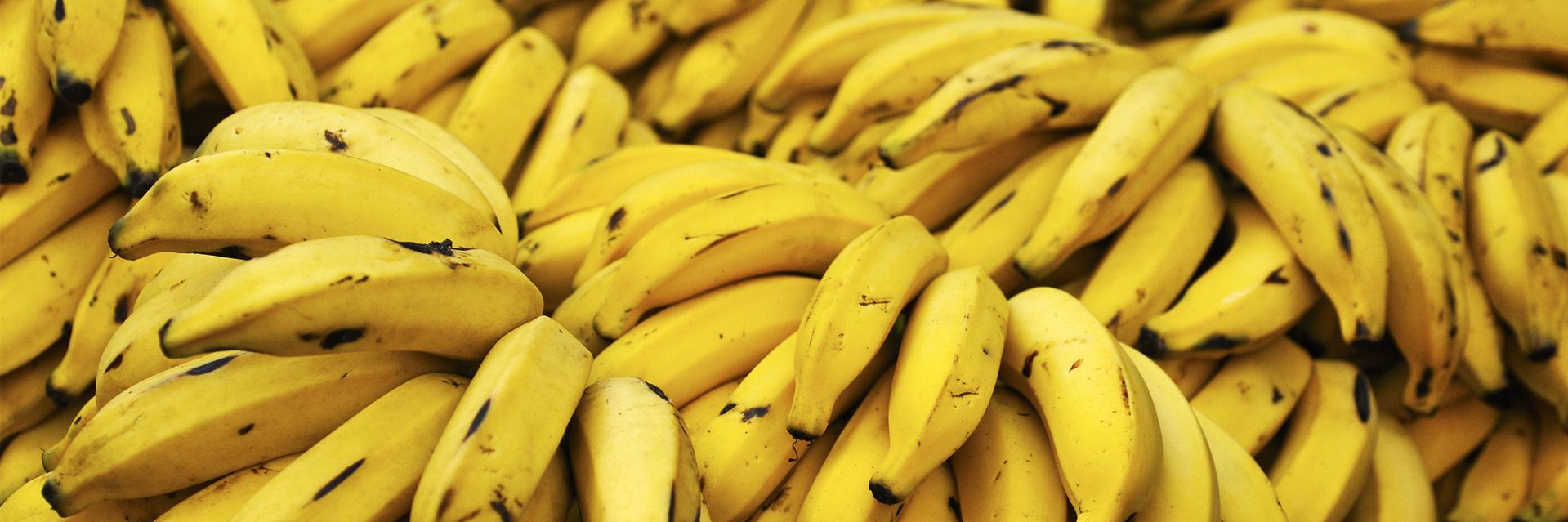 Found_Banana's profile banner image