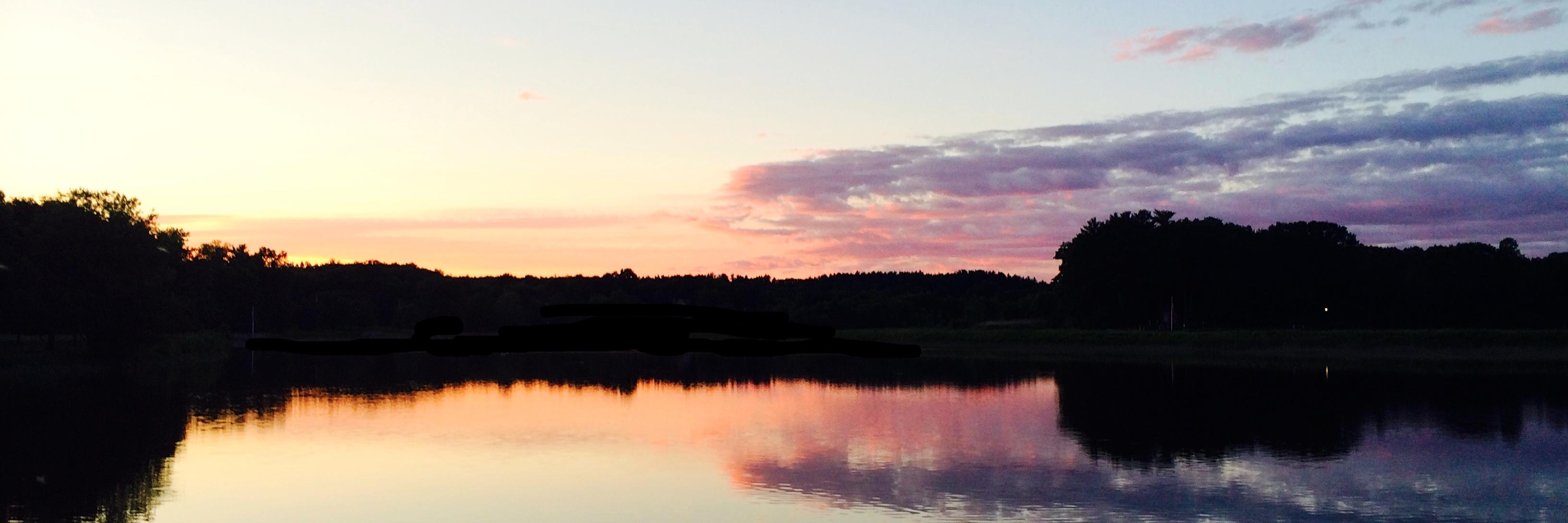 gooseontheloos's profile banner image