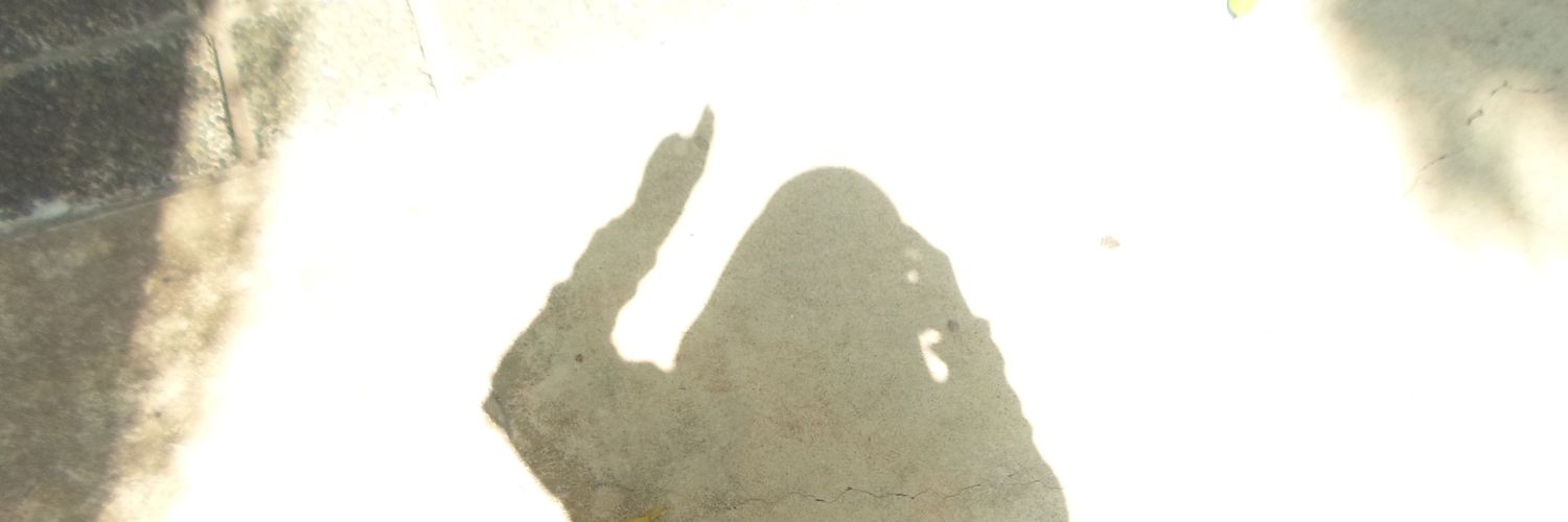 rosaachaa's profile banner image