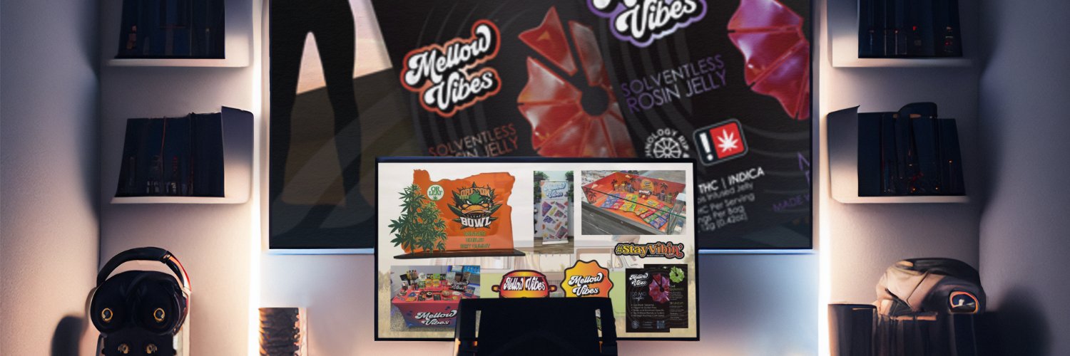 Hansenvision banner