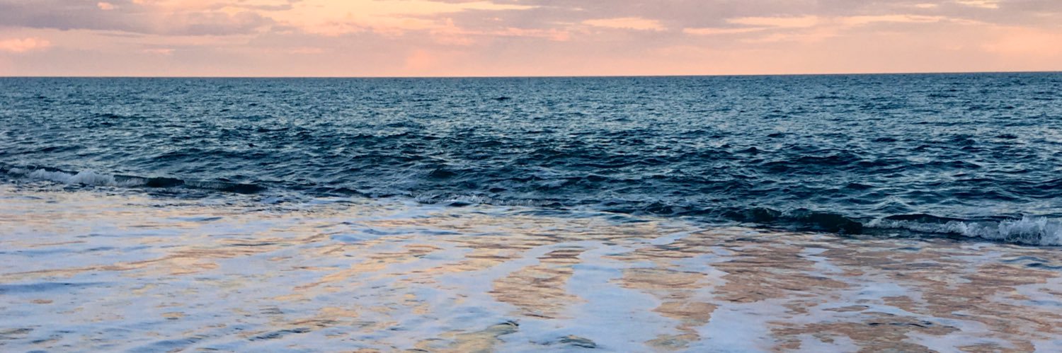 PiaPintos's profile banner image
