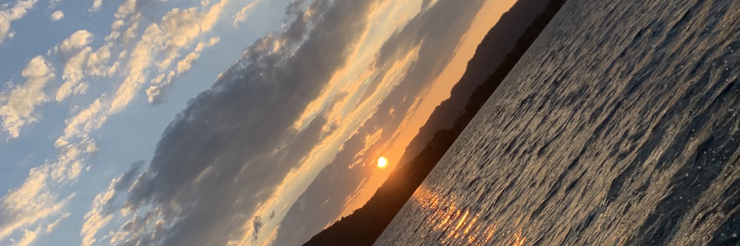 Ostrich_sol's profile banner image
