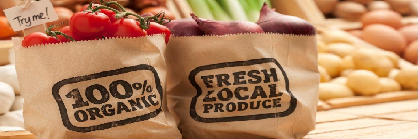 Eco-friendly Tips banner