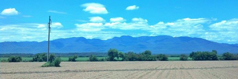 belu_vb's profile banner image
