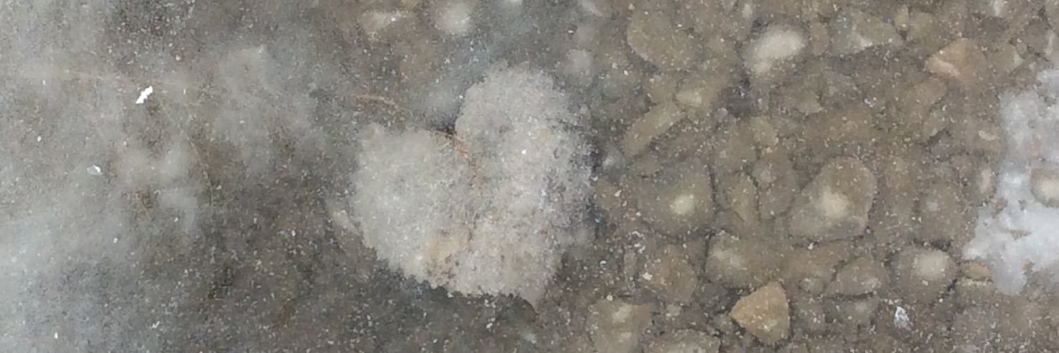 Sarah Cassidy banner