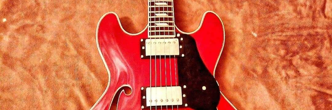 Aria Guitars UK banner