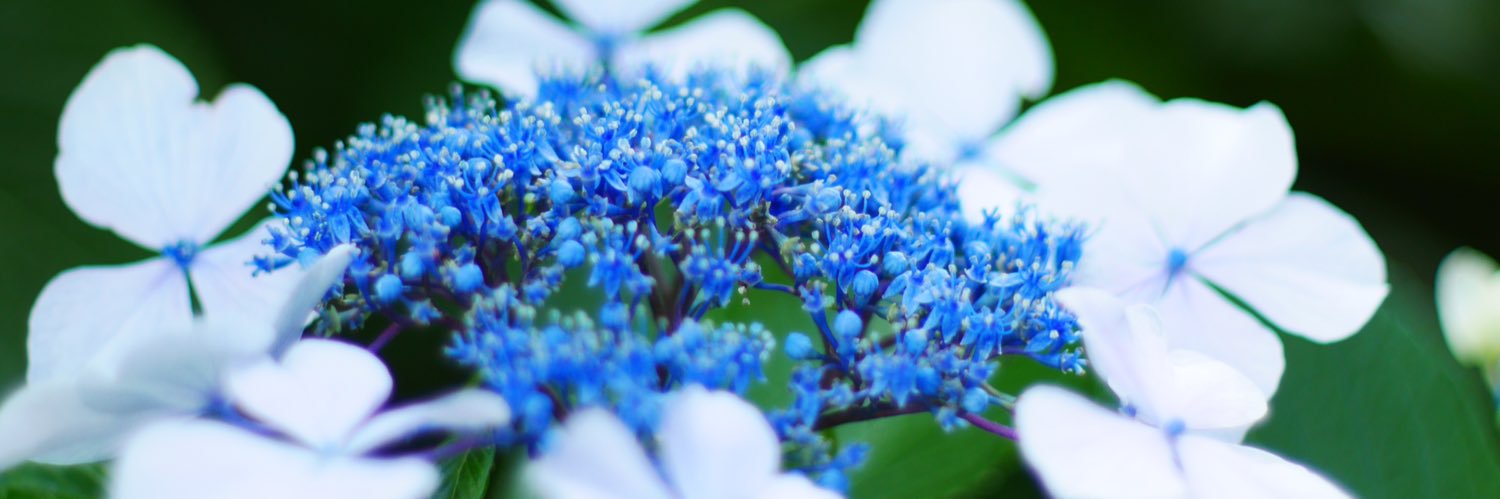 junjun_so's profile banner image