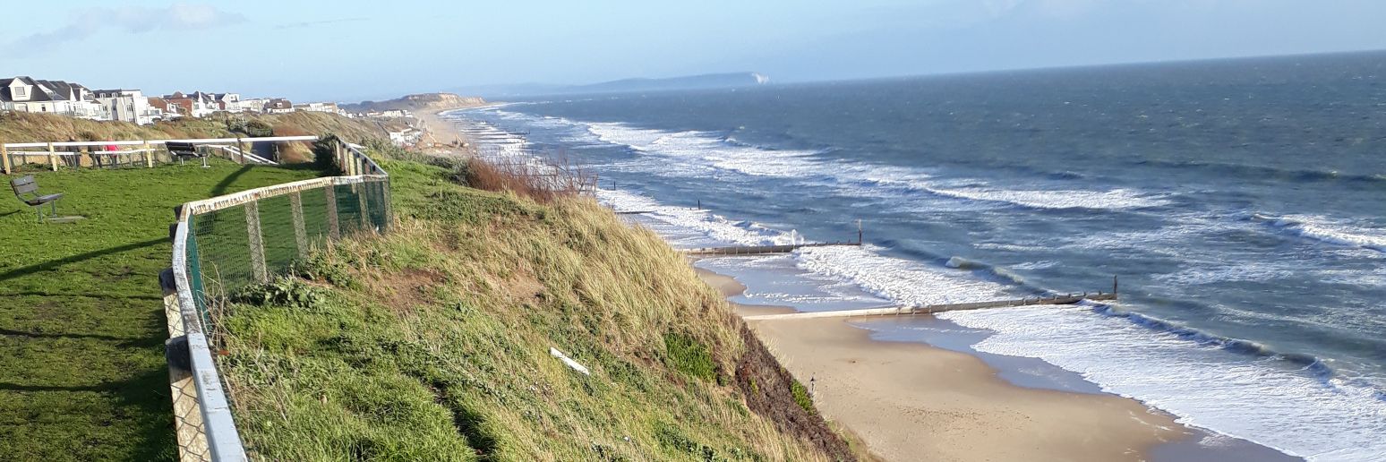 Sharon McAndrew banner