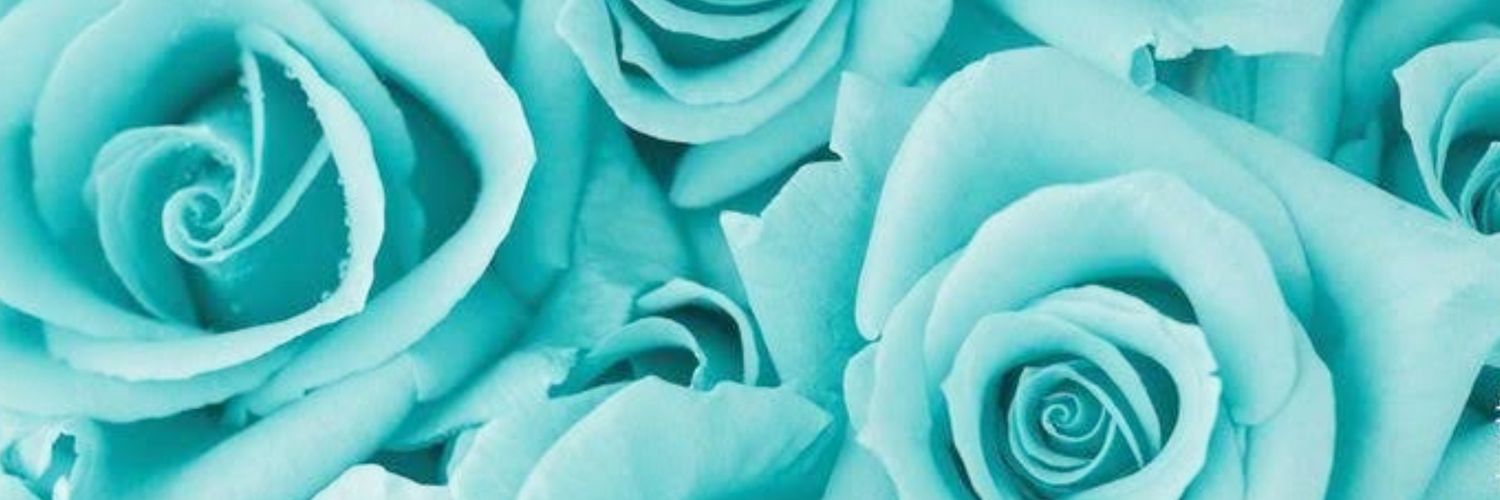 dikshacine's profile banner image
