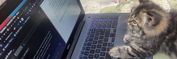 fabcodingzest Profile Banner