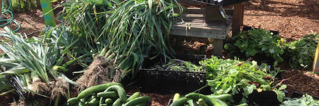 post.news/pmbydesign banner