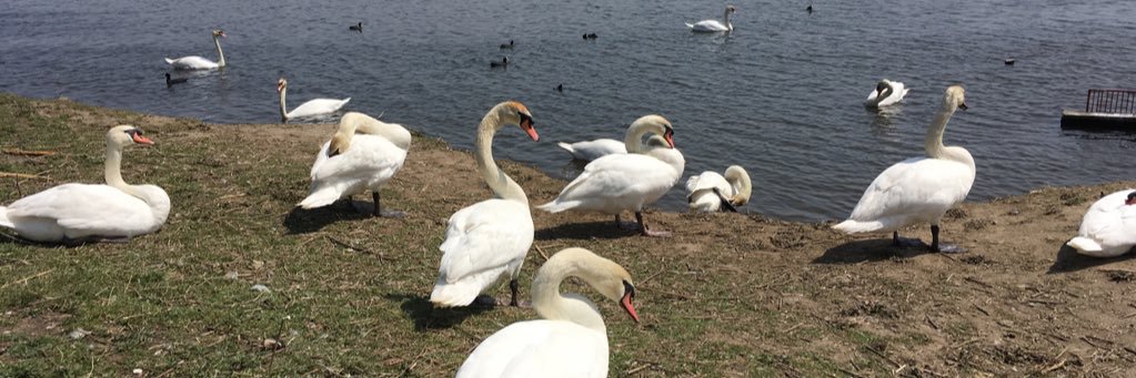 TOP「ぱ」- とっぱ - banner