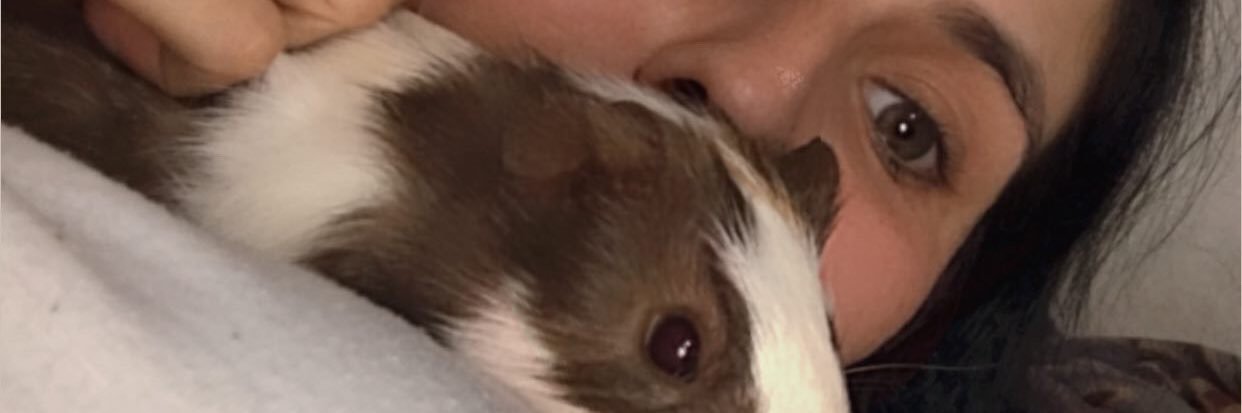 RocioFoonseca's profile banner image