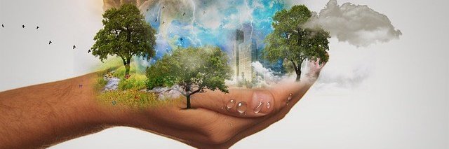 2Growit4ward's profile banner image