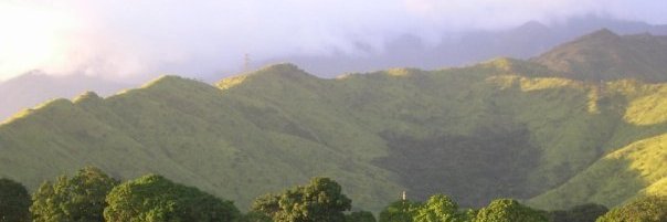 PromotorArte's profile banner image