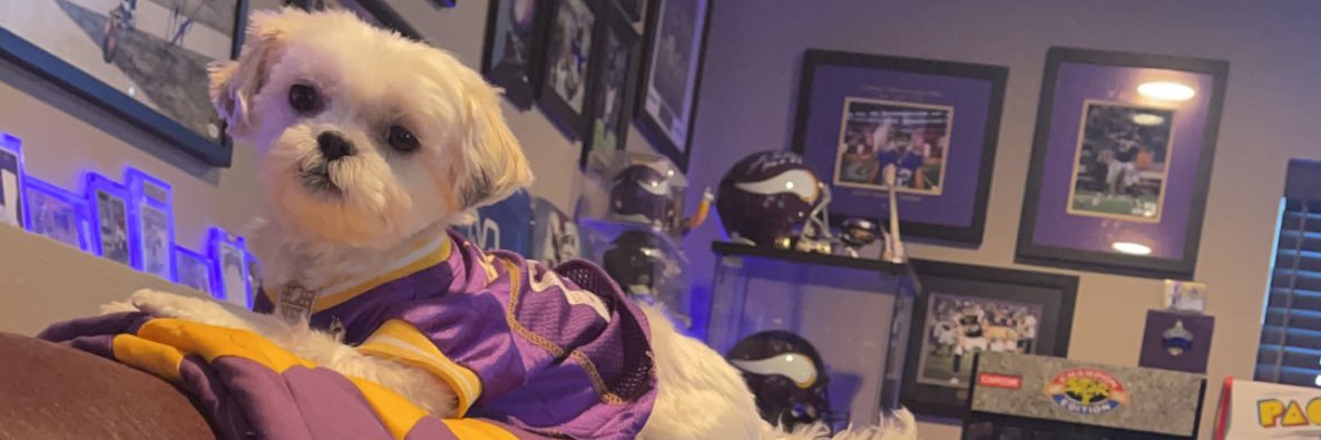 TerynLuce's profile banner image